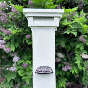 Mini Shelly Rail Light by Dekor