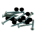 Pure View Screw and Washer 10 pkg.