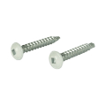 ScreenEze Color Match Screws - White
